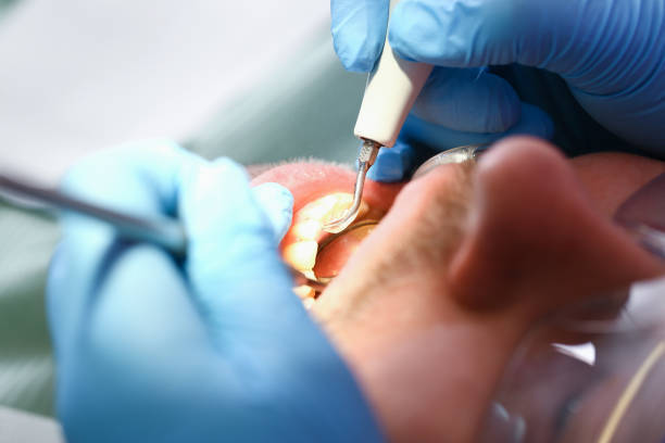 Best Emergency Orthodontic Repairs in Smithton, IL
